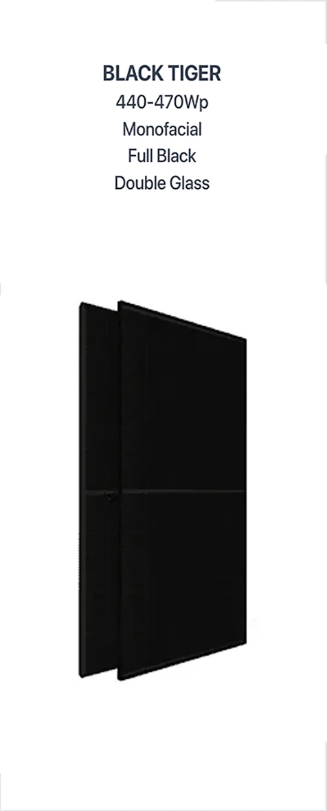 Datasheet 1