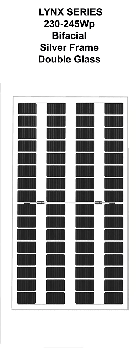 LYNX Panel 6