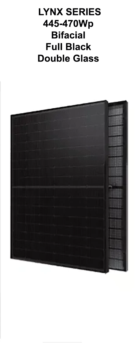 LYNX Panel 10