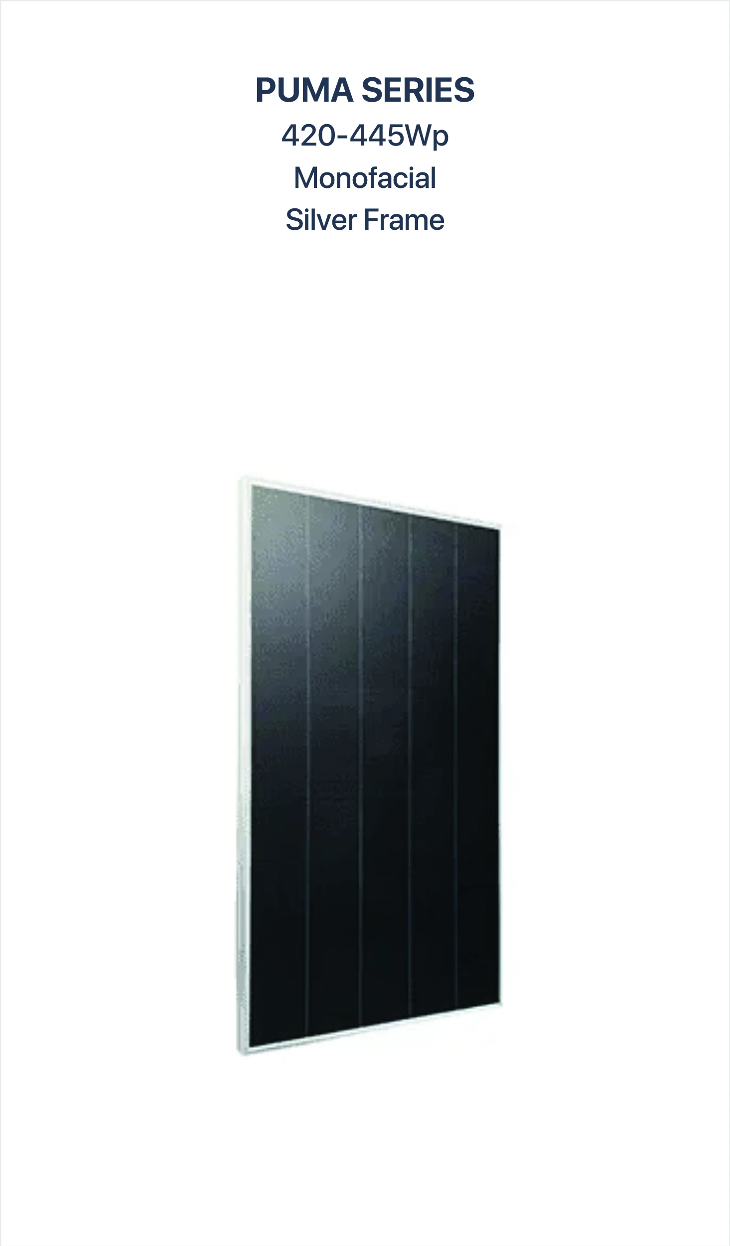 PUMA Panel 3