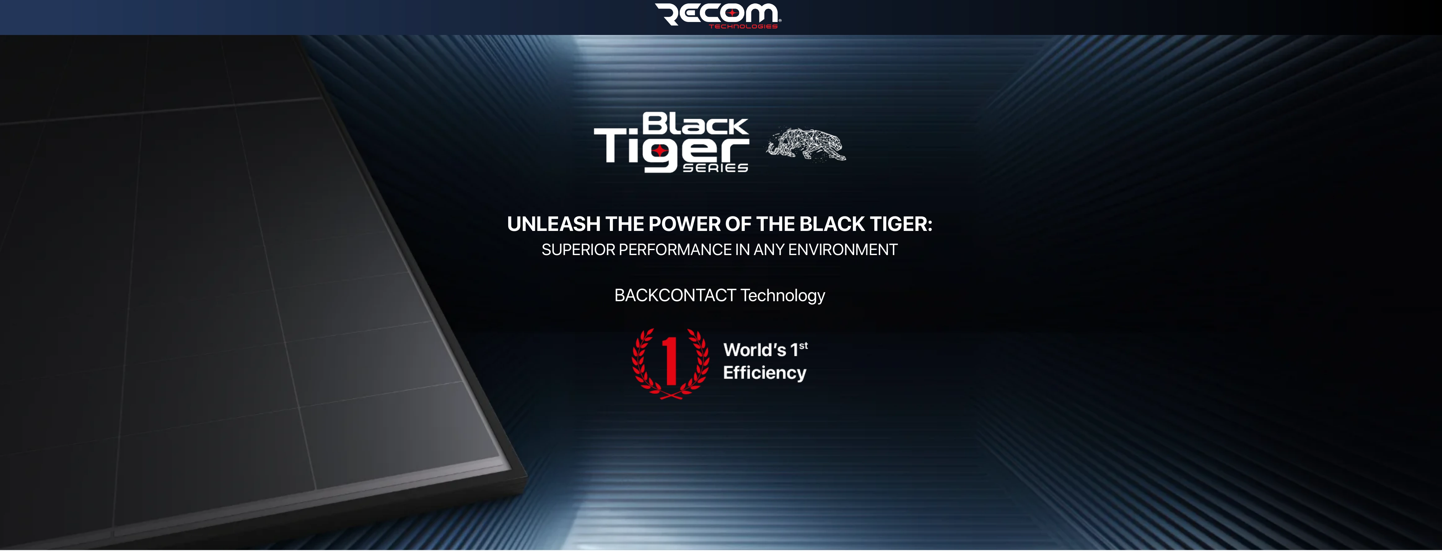 Black Tiger Banner