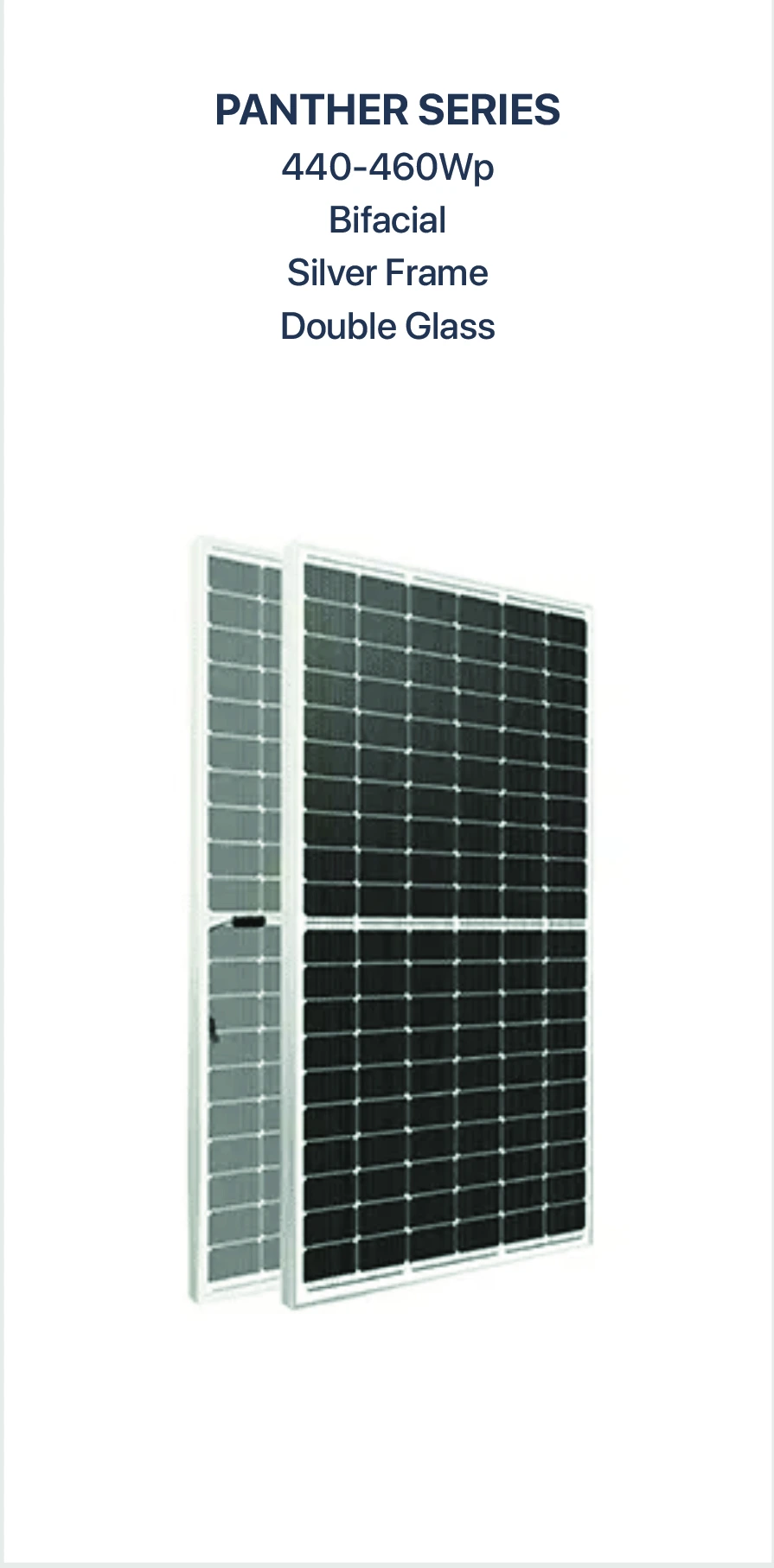Panther Panel C