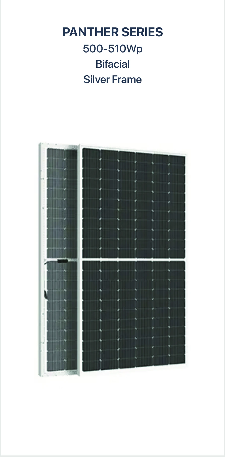 Panther Panel D